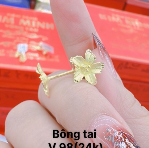 Bông tai 19